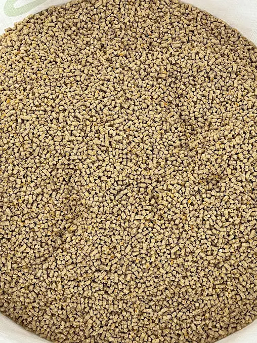 Granulés d’aliment Benhatchi Feed en gros plan
